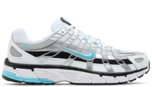 P-6000 'Dusty Cactus'